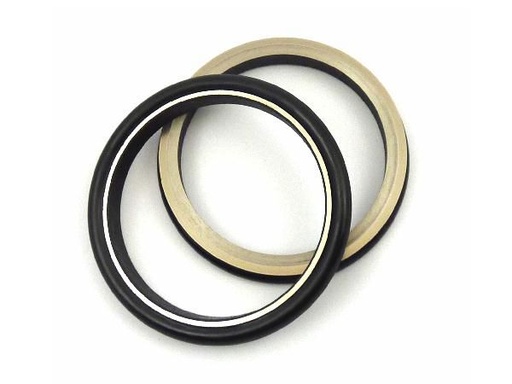 Mechanical seal  Börger